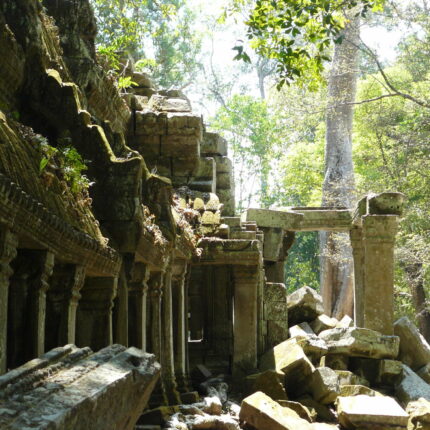 Cambodge Ta Prohm