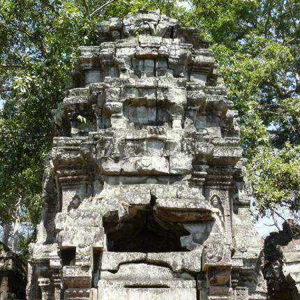 Cambodge Ta Prohm