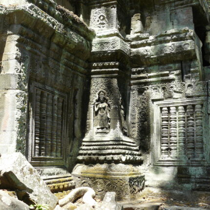 Cambodge Ta Prohm