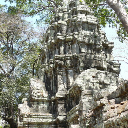 Cambodge Ta Prohm