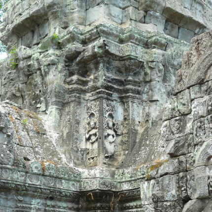 Cambodge Ta Prohm