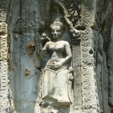 Cambodge Ta Prohm