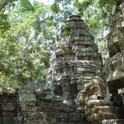 Cambodge Ta Prohm