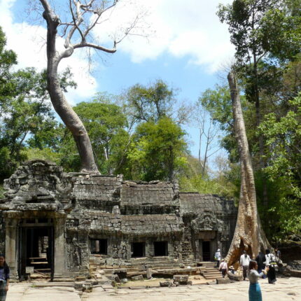 Cambodge Ta Prohm