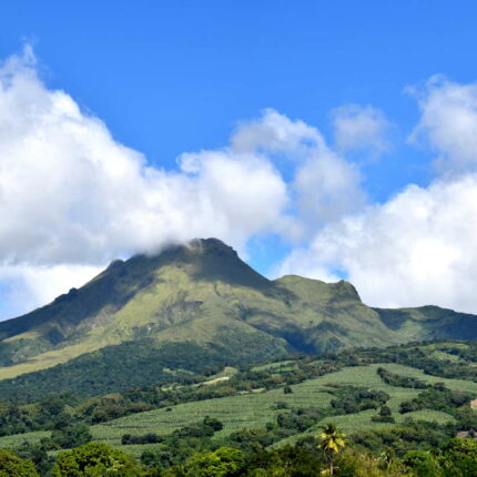 Saint Pierre Montagne Pelée