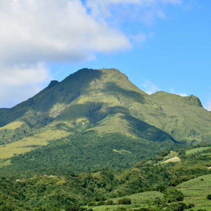 Saint Pierre Montagne Pelée