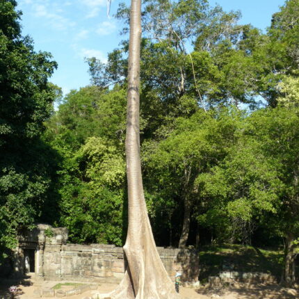 Cambodge Baphuon