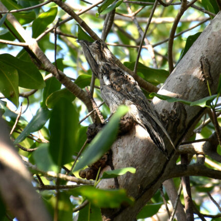 Las Penitas Nicaragua