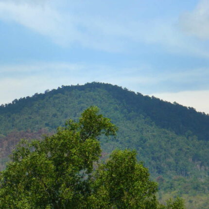 Cambodge Kampot