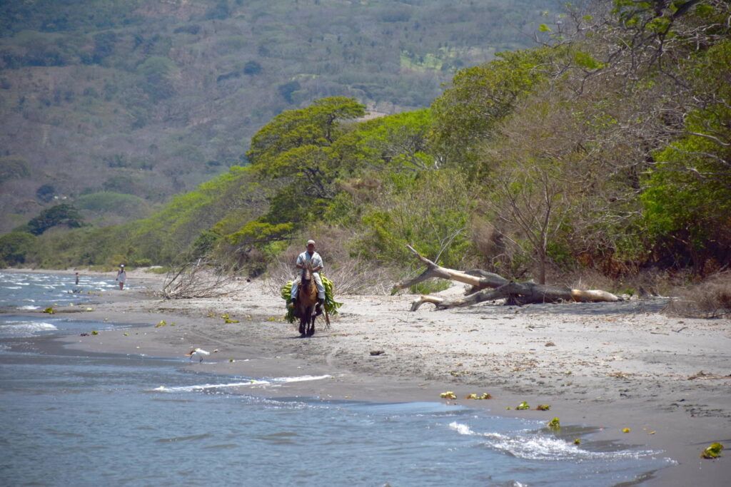 Nicaragua, Ometepe, cavalier sur la plage