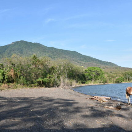 Nicaragua, Ometepe, plage et volan